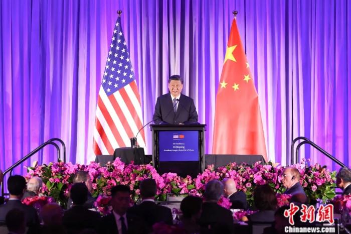 萌宠也能成为焦点！米兰体育带你看懂它们的“比赛” - 米兰官网2